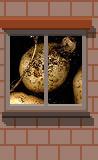 Oct. 6: Rose potatoes