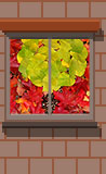 Oct 27: Playing with leaves (cheap imitation Goldsworthy)