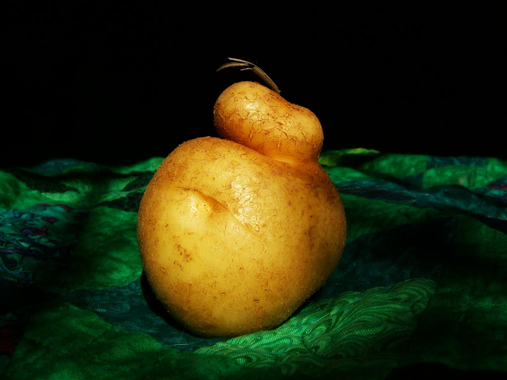 lovely potato